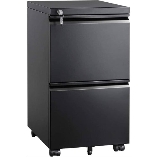 2-Drawer Vertical Filing Cabinet